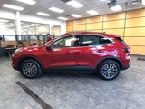 New 2024 Ford Escape SE w/ PHEV Premium Package image 4