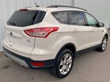 Used 2016 Ford Escape SE w/ Equipment Group 201A image 4