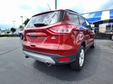 Used 2014 Ford Escape SE w/ Equipment Group 201A image 5