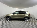 Used 2013 Ford Escape SEL image 4