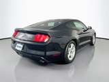 Used 2017 Ford Mustang Coupe w/ Enhanced Security Package image 6