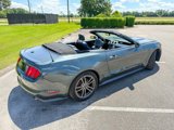 Used 2015 Ford Mustang Premium w/ Equipment Group 201A image 2