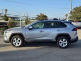 Used 2020 Toyota RAV4 XLE w/ Convenience Package image 2