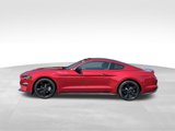 Used 2023 Ford Mustang Coupe w/ Equipment Group 101A image 2