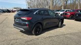 Used 2022 Ford Escape SE w/ Convenience Package image 4