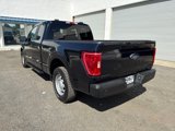 Used 2021 Ford F150 XL w/ Equipment Group 101A High image 3