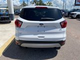 Certified 2019 Ford Escape SE image 5