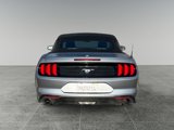 Used 2022 Ford Mustang Premium image 6