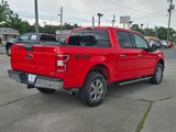 Used 2019 Ford F150 XLT w/ Equipment Group 302A Luxury image 5