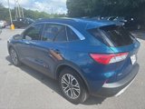 Used 2020 Ford Escape SEL image 3