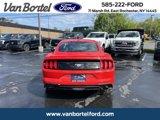 Certified 2020 Ford Mustang Premium w/ Equipment Group 201A image 4