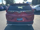 Certified 2020 Honda CR-V EX-L image 4