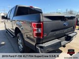Used 2019 Ford F150 XLT w/ Equipment Group 302A Luxury image 3