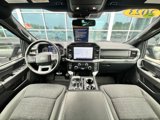 Certified 2023 Ford F150 XLT w/ Equipment Group 302A High image 2