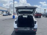 Used 2023 Hyundai Tucson SEL image 5