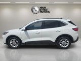 Used 2020 Ford Escape SE image 2