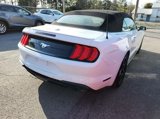 Used 2022 Ford Mustang Premium image 2