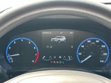 Used 2021 Ford Bronco Sport Big Bend image 4