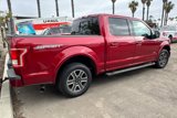 Used 2016 Ford F150 XLT w/ Equipment Group 302A Luxury image 3