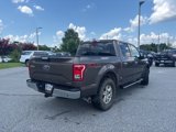 Used 2015 Ford F150 XLT w/ Equipment Group 302A Luxury image 5
