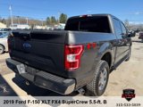 Used 2019 Ford F150 XLT w/ Equipment Group 302A Luxury image 5