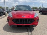Certified 2020 Ford Escape SE Sport image 2