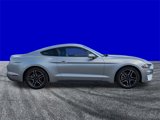 Certified 2023 Ford Mustang Premium image 3