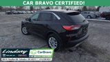 Used 2020 Ford Escape SE image 6