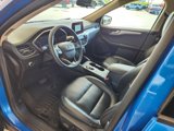Used 2020 Ford Escape SEL image 2