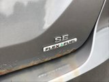 Used 2013 Ford Focus SE w/ SE Winter Pkg image 4