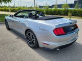 Used 2023 Ford Mustang Premium image 5