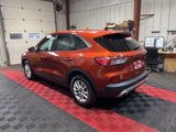 Used 2020 Ford Escape SE image 4