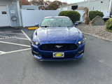 Used 2015 Ford Mustang Premium w/ Equipment Group 201A image 3