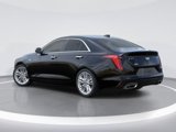 New 2025 Cadillac CT4 Premium Luxury image 3