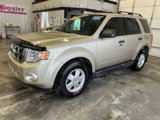 Used 2012 Ford Escape XLT image 2