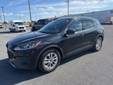 Used 2020 Ford Escape SE image 2