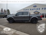 Used 2019 Ford F150 Lariat w/ Equipment Group 502A Luxury image 2