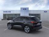 New 2025 Ford Escape ST-Line w/ Tech Pack #1 image 4