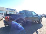 Used 2018 Ford F150 Raptor w/ Equipment Group 802A Luxury image 3