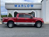 Used 2012 Ford F150 XLT w/ XLT Chrome Pkg image 3