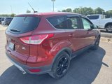 Used 2014 Ford Escape SE image 3