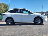 New 2024 Ford Escape ST-Line w/ Tech Pack #1 image 4