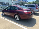 Used 2013 Honda Accord EX-L image 5