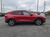 New 2025 Ford Escape ST-Line w/ Tech Pack #1 image 6