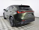 Certified 2024 Lexus NX 250 FWD image 4