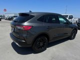 Certified 2020 Ford Escape SE Sport image 5