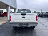 Used 2019 Ford F150 XL w/ Equipment Group 101A Mid image 4