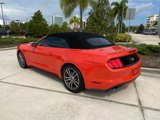 Used 2016 Ford Mustang Premium w/ Equipment Group 201A image 2