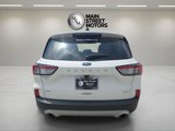 Used 2020 Ford Escape SE image 4