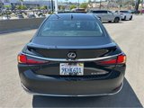 Certified 2024 Lexus ES 300h w/ Premium Package image 5